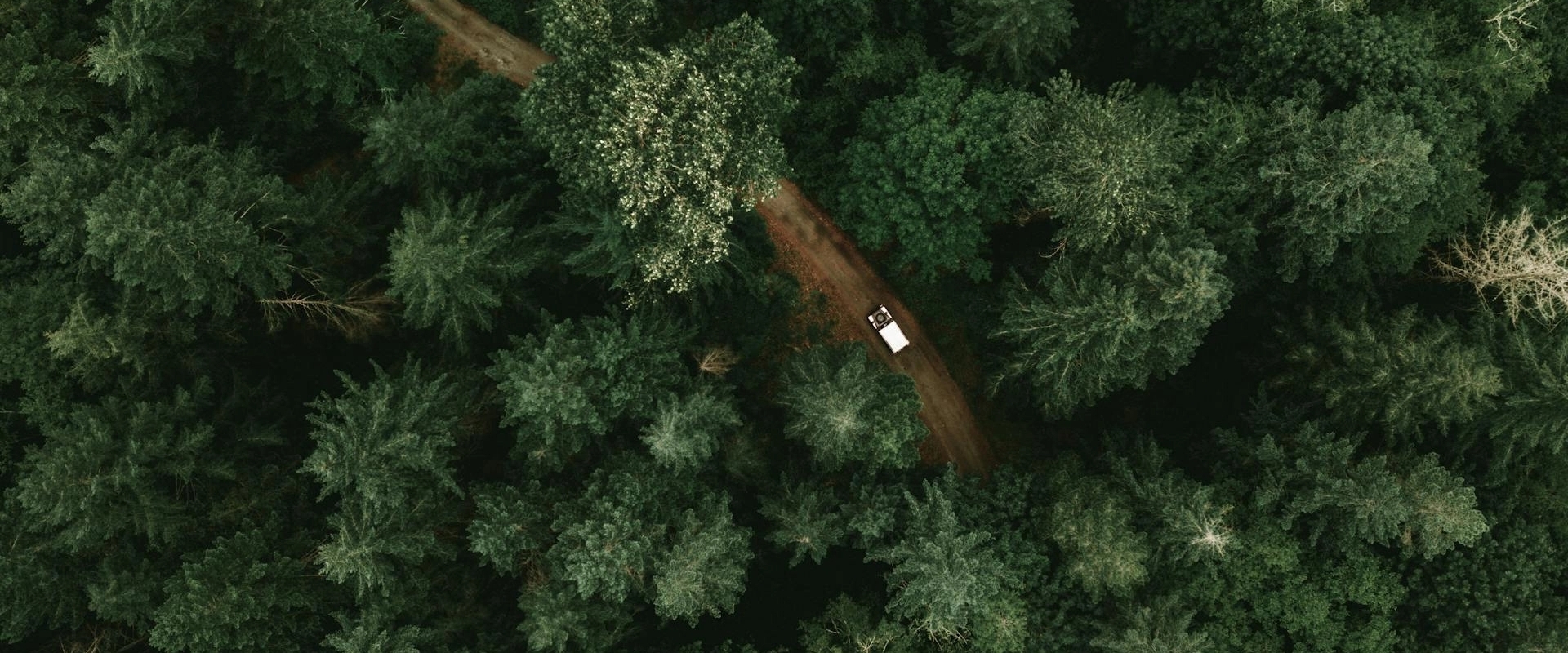 European Union Deforestation Regulation EUDR