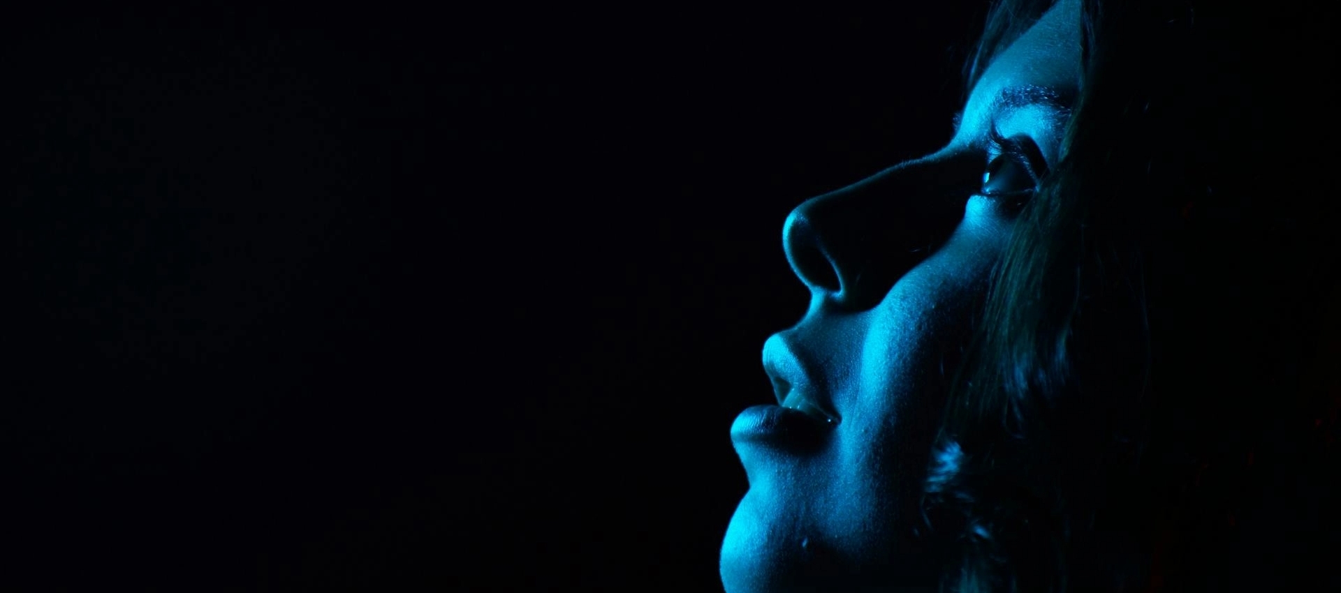 What 2026 looks like for Pimmix